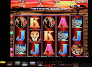 kia云登录入口手机手机版